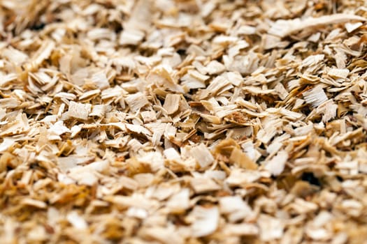 photographed close up sawdust remaining after processing trees. forest.
