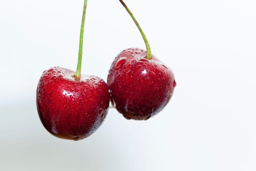 Photographed close-up ripe red cherries covered with drops of water, little depth of field