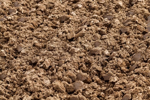 on a plowed field agricultural land intended for planting and growing food