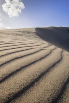 A close up view of textured beach sand on a dune as the wind blows the sand over the edge of the dune.