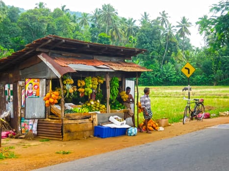 Pinnawella, Sri Lanka - May 02, 2009: The roadside shop with durians at Pinnawella, Sri Lanka at May 02, 2009