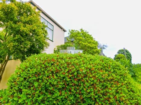 The green tree and traditional building at at Russian Hill in San Francisco, USA