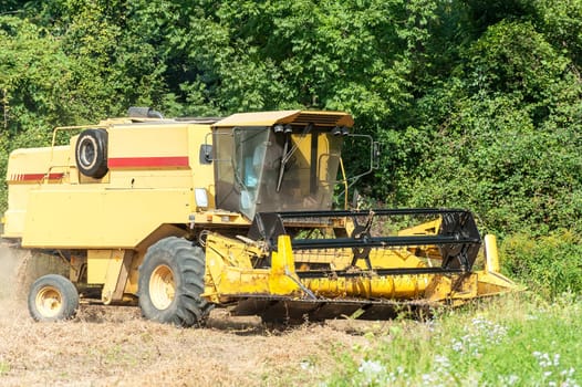 Working combine harvesting in the soy field