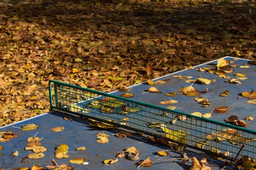 Horizontal outdoor blue ping pong table with metallic net in a park covered in autumn leaves