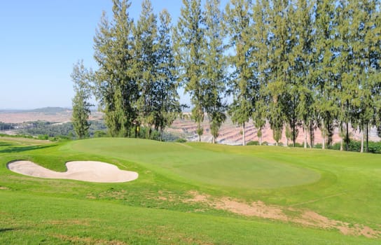 Beautiful landscape of a golf court with pine trees in Thailand
