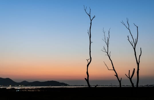 Silhouette dry tree and lake with mountain range background in twilight sky
