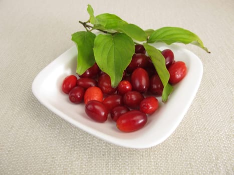 Ripe cornelian cherries