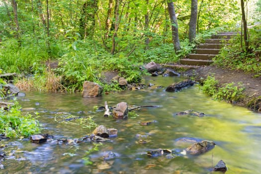 Landscape - Forest river to which a staircase descends