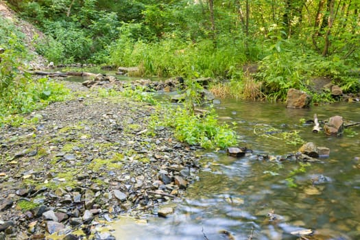 Rocky shore in a small forest stream