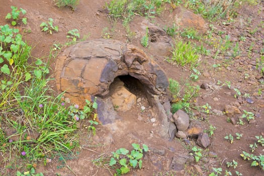 Stone formation resembling dinosaur eggs have been found near the village of Wet Olhovka Kotovo District, Volgograd Region, Russia