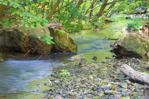 Creek flowing through the green grove, photographed with a long exposure