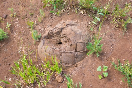 Stone formation resembling a dinosaur egg with prodellanym hole found near the village of Wet Olhovka Kotovo District, Volgograd Region, Russia
