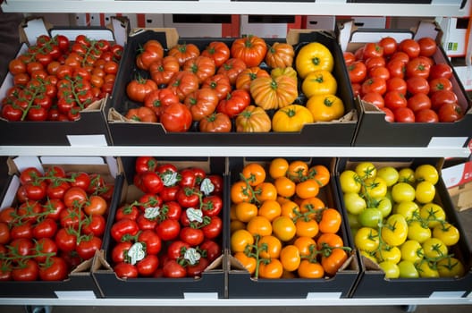 NAALDWIJK, NETHERLANDS - APRIL 2, 2016: boxes with different kind of ripe tomatoes in a dutch greenhouse