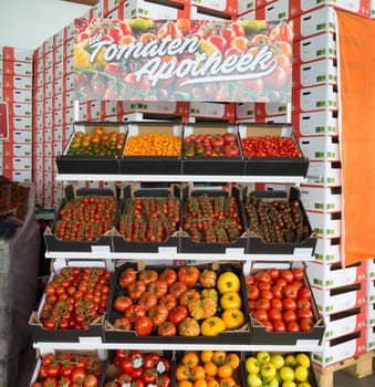NAALDWIJK, NETHERLANDS - APRIL 2, 2016: boxes with different kind of ripe tomatoes in a dutch greenhouse