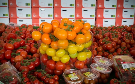 NAALDWIJK, NETHERLANDS - APRIL 2, 2016: exposition of different colors of ripe tomatoes during an open day in a dutch greenhouse
