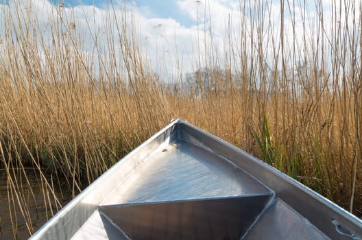 front side of a rowing boat moored in the reed