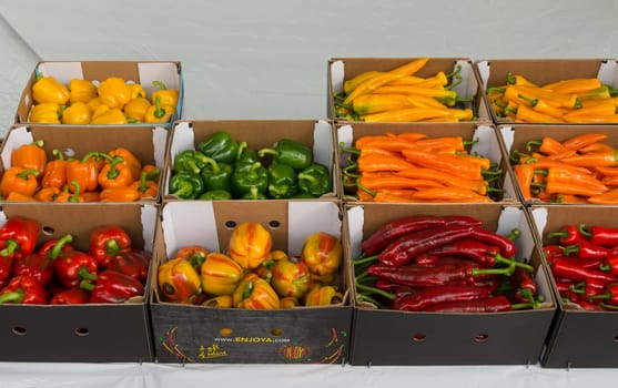 NAALDWIJK, NETHERLANDS - APRIL 2, 2016: Different colors and shapes of bell peppers in boxes ready for the auction