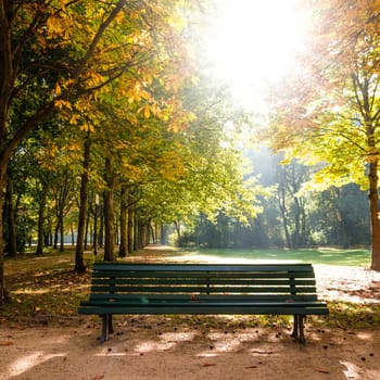 bench in tiergarten berlin in late summer