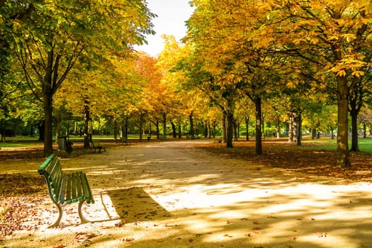 bench in tiergarten berlin at the beginning of autumn