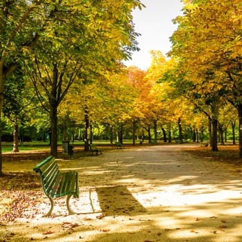 beginning of autumn tiergarten berlin