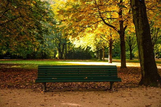 bench in a park at the beginning of autumn