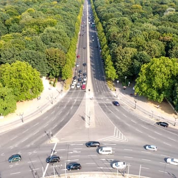 view on tiergarten berlin on a summer day