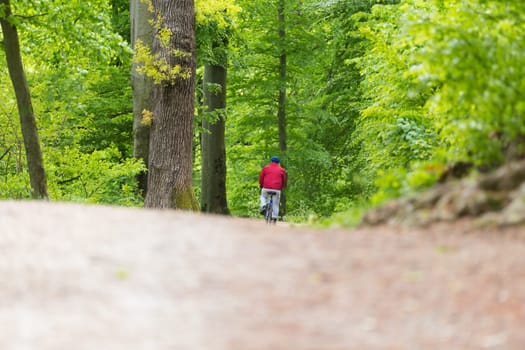 Male Cyclist Riding the Bike on the Beautiful Spring Forest Trail. Rear view. Man Cycling in Nature. Copy space.