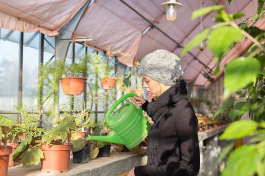 Portrait of florists woman working with flowers in a greenhouse holding a watering can in her hand. Small business owner.