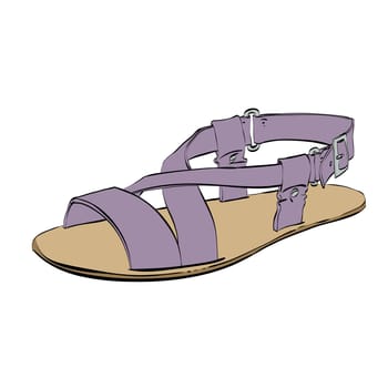 Mens sandals isolated on white background, summer shoes, color vector illustration isolated
