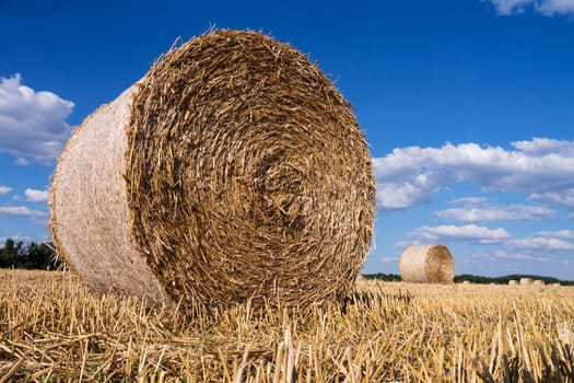 straw bales in summer with blue sky and sunlight
