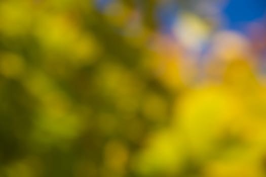 background wallpaper without decorate without blurred without isolated