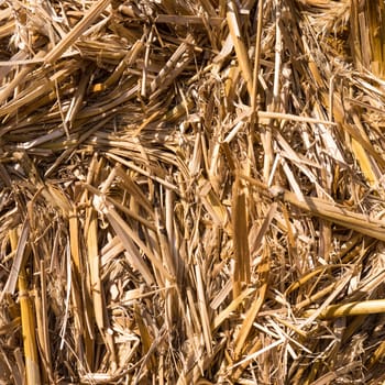 a straw bale texture closeup