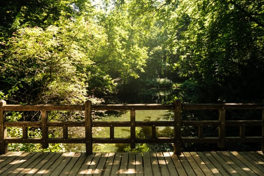lake in sunlight and a bridge in park