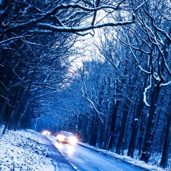 road in winter forest in evening