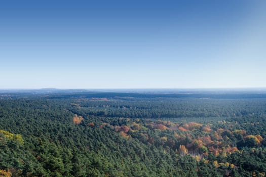 view on an autumn forest, blue sky and sunlight