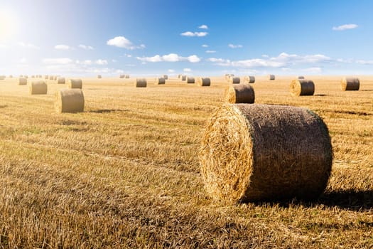 straw bales in summer with blue sky and sunlight