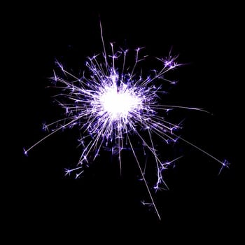 violet sparkler on black background