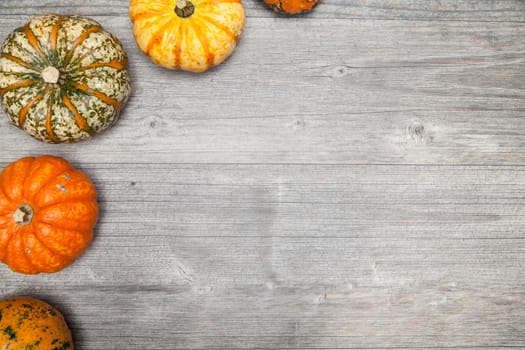 pumpkins on grey table for halloween