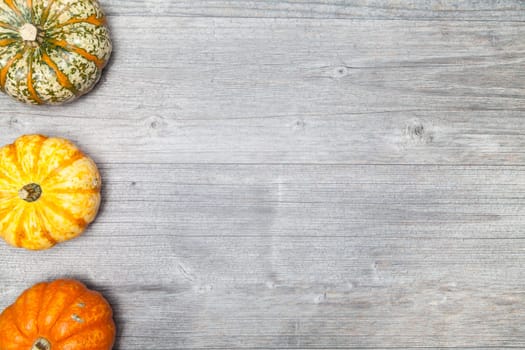 pumpkins deco on greay plate copy space