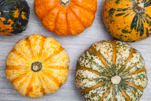 pumpkins on grey plate