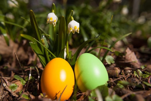 green and orange easter eggs