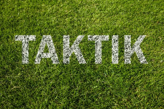 tactic (taktik in german) on meadow