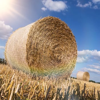 Straw bales in late summer