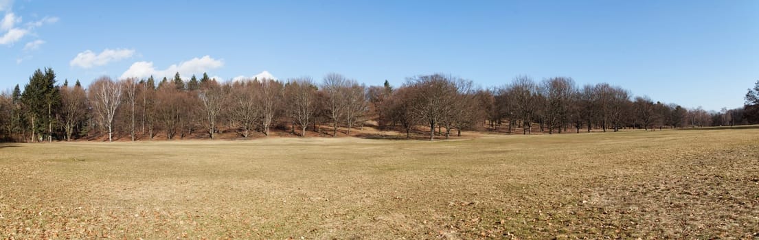 park in early spring (panorama)
