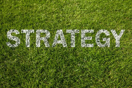 strategy text on green meadow