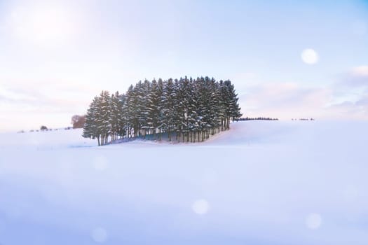 winter landscape and lensflare