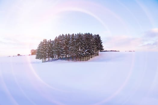 winter landscape and light effect