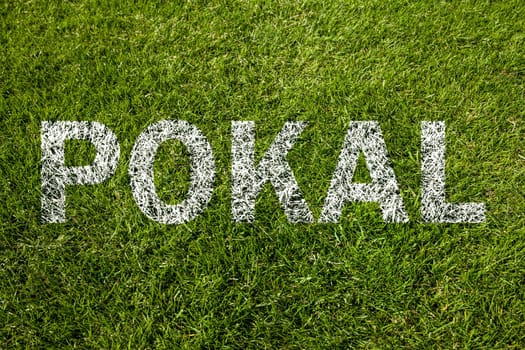 cup (pokal in german) on meadow