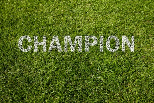 champion text in white on grass