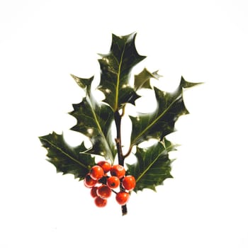 Christmas tree decoration against a white background.